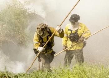 Brigadistas intensificam trabalho de combate a incêndios no Pantanal