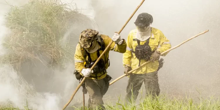 Brigadistas intensificam trabalho de combate a incêndios no Pantanal