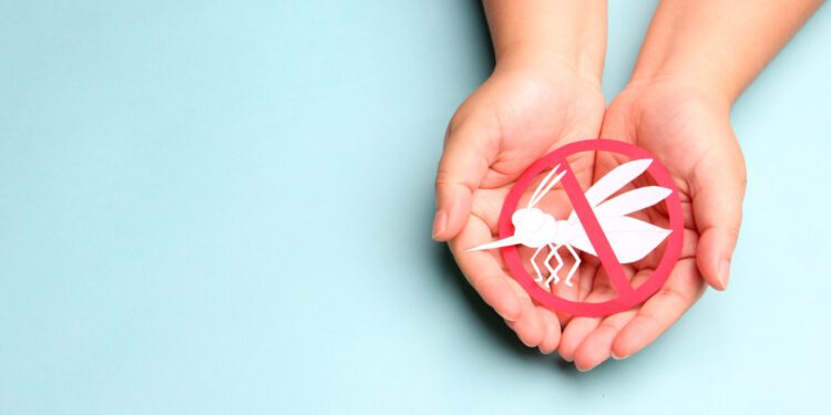 Dengue tipo 3 pode ser grave para quem já teve a doença, alertam especialistas