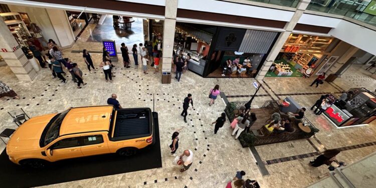 Para todos os gostos: opções de presente que facilitam as compras neste Natal