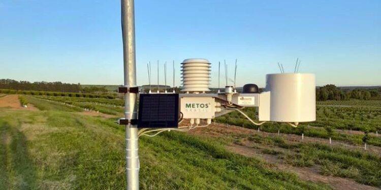 Boletins agrometeorológicos semanais fornecem dados precisos aos produtores