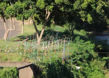 Intervenção artística chama atenção para o Rio Paraopeba