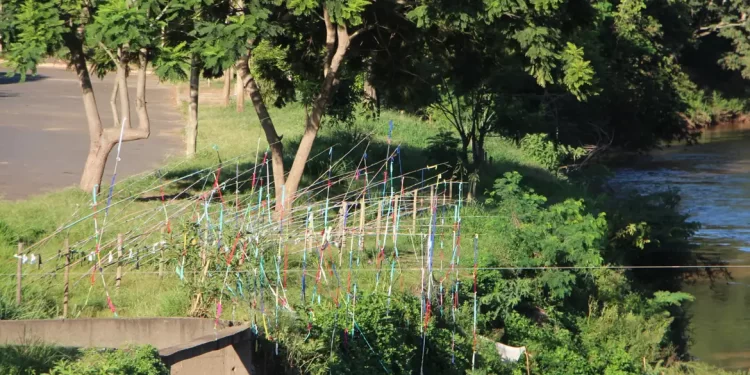 Intervenção artística chama atenção para o Rio Paraopeba