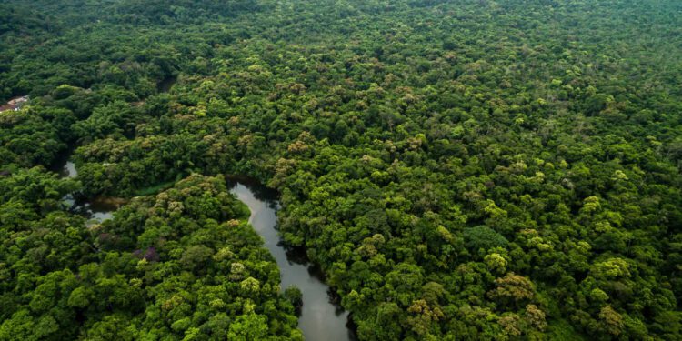 Reino Unido anuncia mais R$ 215 milhões para o Fundo Amazônia