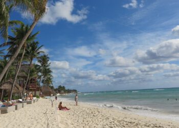 Tubarão ou crocodilo? Turista morre após ser atacado em praia no México