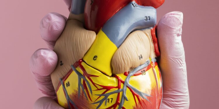 Conheça o medicamento que irá ajudar a combater as duas principais causas de morte no Brasil