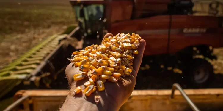 Governo investe mais de R$ 950 milhões em estradas vicinais