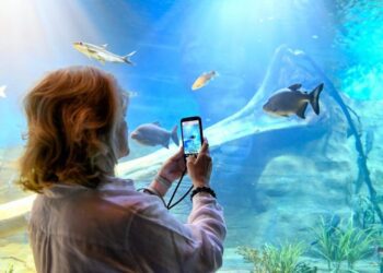 Bioparque Pantanal está fechado para manutenção e reabre dia 9 de janeiro