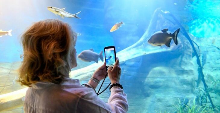 Bioparque Pantanal está fechado para manutenção e reabre dia 9 de janeiro