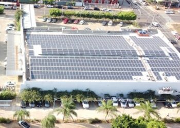 Grupo Pereira reforça seus compromissos com o meio ambiente e responsabilidade social