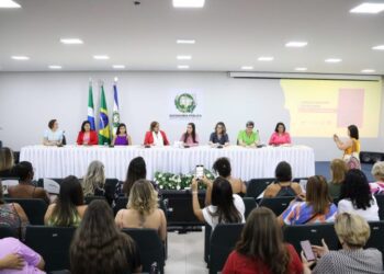 Desafios e políticas para as mulheres são abordados em encontro do CEDM-MS com ministra
