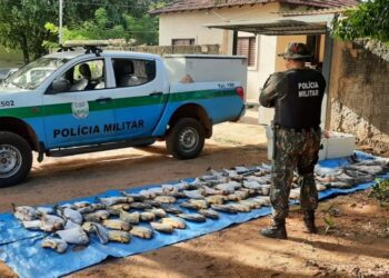 Operação Piracema: ações intensificadas e resultados significativos contra a pesca predatória