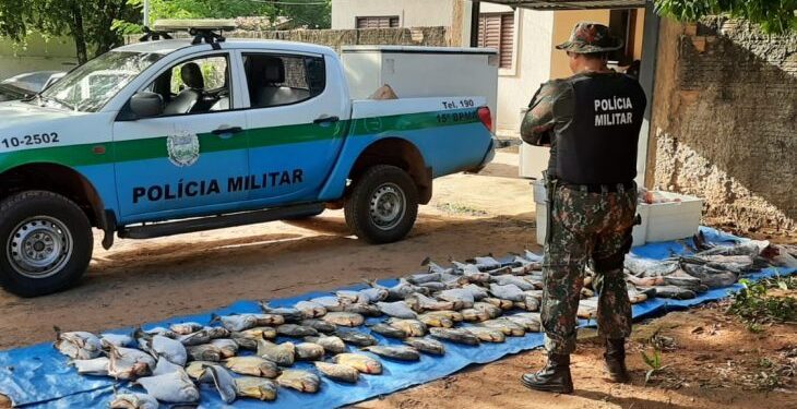 Operação Piracema: ações intensificadas e resultados significativos contra a pesca predatória