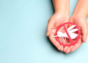 Vacinação da dengue prioriza regiões com alta transmissão da doença