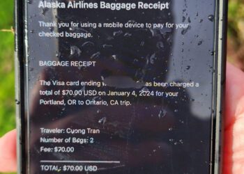 Telefone de passageiro que caiu de avião com janela quebrada é encontrado