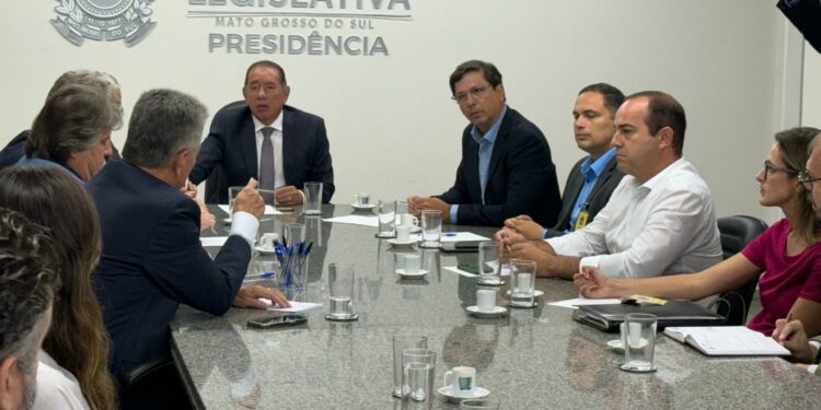 ALEMS busca acordo para garantir retomada das obras da Ponte Bioceânica