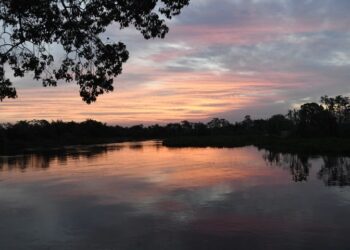 Governo de MS prepara atuação para temporada de incêndios florestais no Pantanal