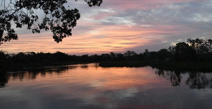 Governo de MS prepara atuação para temporada de incêndios florestais no Pantanal