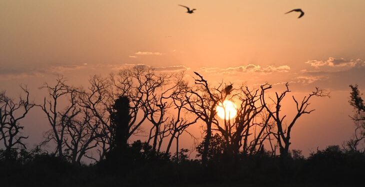 Probabilidade de chuva diminui e sol deve retornar a MS nesta terça-feira