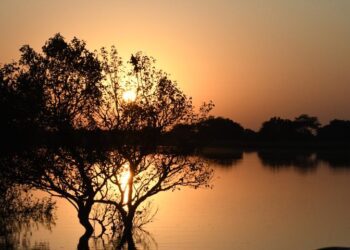 Final de semana tem sol e probabilidade de chuvas em grande parte de MS