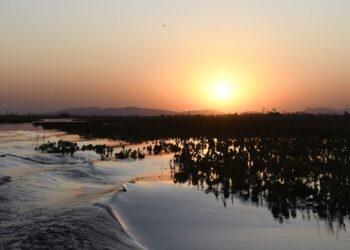 Fevereiro tem início com quinta-feira de sol e variação de nebulosidade em MS