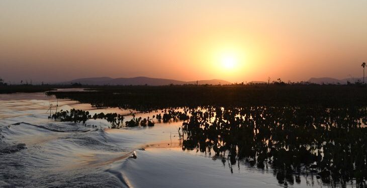 Fevereiro tem início com quinta-feira de sol e variação de nebulosidade em MS