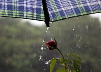 Segunda tem previsão de tempo instável, com chuvas isoladas em diferentes cidades