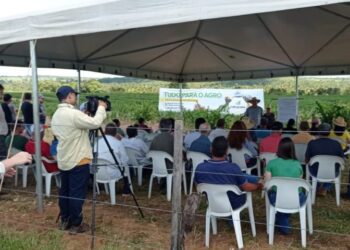 Governo incentiva o desenvolvimento da fruticultura para diversificar a base produtiva do Estado