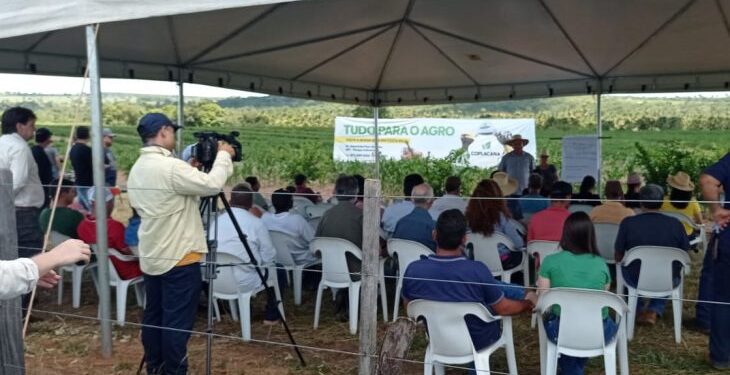 Governo incentiva o desenvolvimento da fruticultura para diversificar a base produtiva do Estado