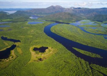 Com atuação coordenada por terra e ar, bombeiros de MS controlam incêndio no Pantanal