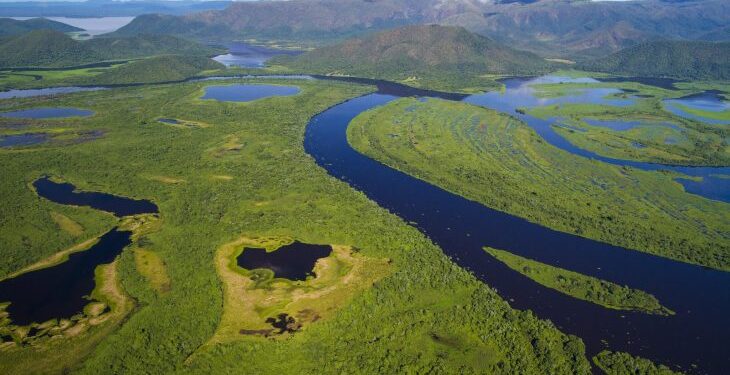 Com atuação coordenada por terra e ar, bombeiros de MS controlam incêndio no Pantanal
