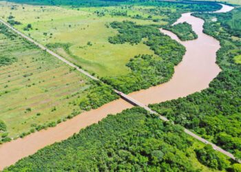 Arauco obtém Licença Prévia para o Projeto Sucuriú, em Inocência, MS