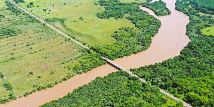 Arauco obtém Licença Prévia para o Projeto Sucuriú, em Inocência, MS