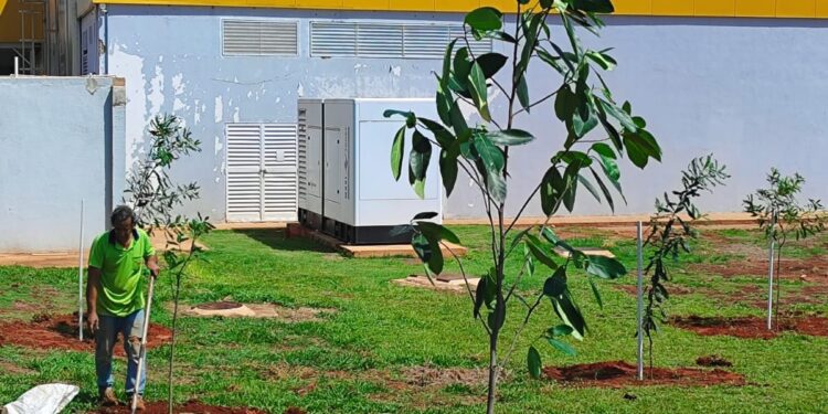 Empresas celebram o Dia Internacional das Florestas com plantio de 200 árvores na capital