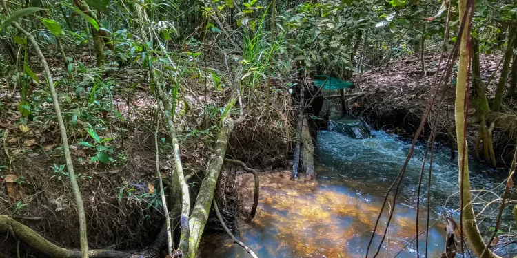 Pesquisa de longo prazo aponta impacto ambiental da agricultura