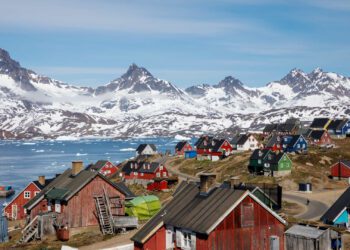 Centenas de mulheres tiveram DIU implantados sem consentimento