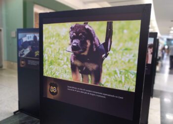 Polícia Federal realiza exposição em comemoração aos seus 80 anos