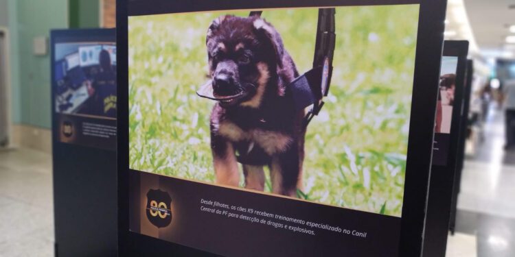 Polícia Federal realiza exposição em comemoração aos seus 80 anos