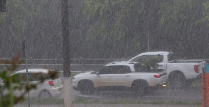 Previsão do tempo: sexta-feira promete variação de neblina e possíveis chuvas