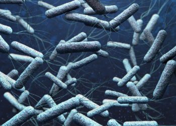 Brasil confirma caso autóctone de cólera em Salvador