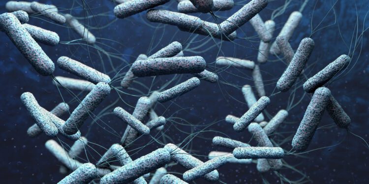 Brasil confirma caso autóctone de cólera em Salvador