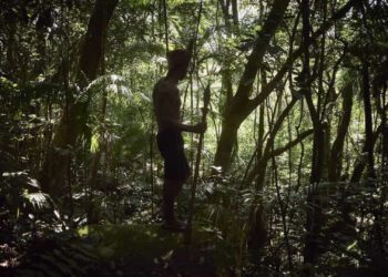 Indígenas rendem garimpeiros na terra yanomami e os entregam à Força Nacional