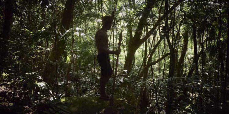 Indígenas rendem garimpeiros na terra yanomami e os entregam à Força Nacional