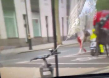 Cavalos fogem do Palácio de Buckingham, ferem pessoas e danificam carros