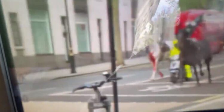 Cavalos fogem do Palácio de Buckingham, ferem pessoas e danificam carros