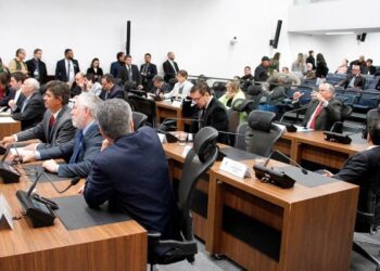 ALEMS aprova homenagem ao centenário da violeira Helena Meirelles