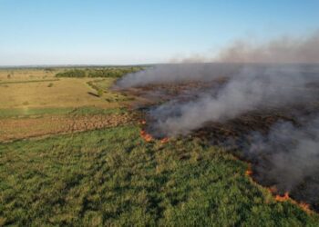 Bombeiros de MS atuam no combate a dois incêndios florestais, no Pantanal e em Naviraí