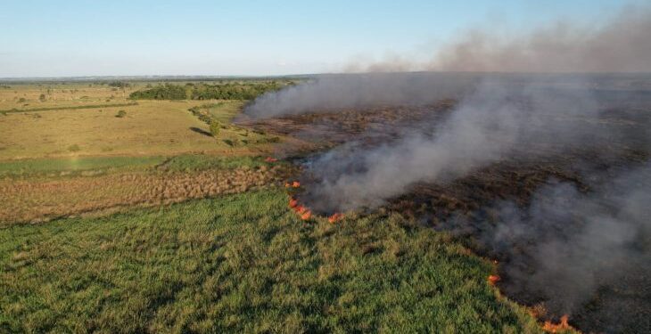 Bombeiros de MS atuam no combate a dois incêndios florestais, no Pantanal e em Naviraí