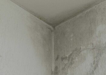 Inverno Chegando: como proteger seu imóvel de infiltrações