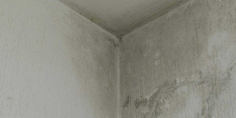 Inverno Chegando: como proteger seu imóvel de infiltrações